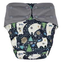 Load image into Gallery viewer, Washable Diapers for Adults and Children
